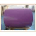 Coated Aluminium Sheet/Coil, Color Coating Aluminium Sheet/Coil